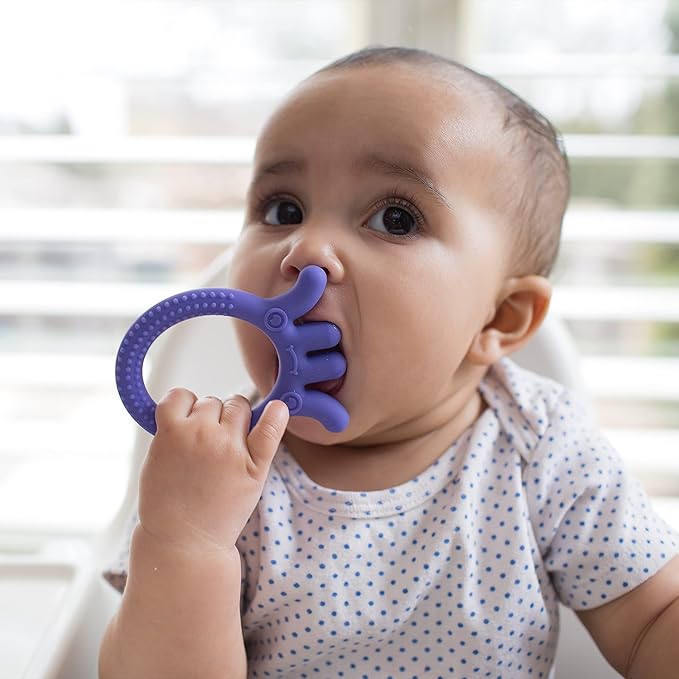 Dr. Brown&#039;s Flexees Friends Silicone Teether, Purple Octopus