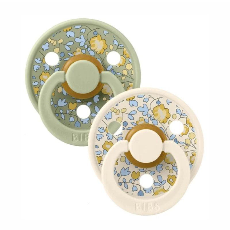 Bibs Lot de 2 Sucettes Eloise Sage Mix
