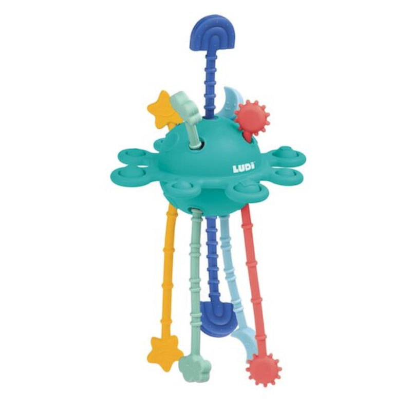 Ludi Zippy activité Multicolore
